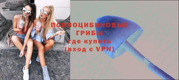 круглые Няндома