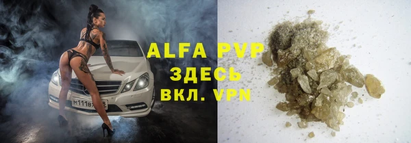 apvp Инта