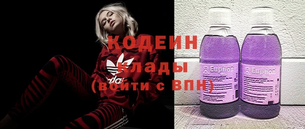 мет Алексин